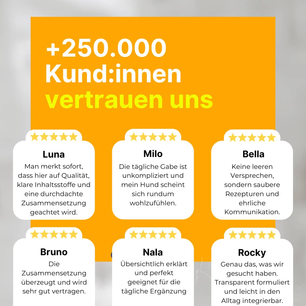 Hip & Joint Soft Chews for Dogs