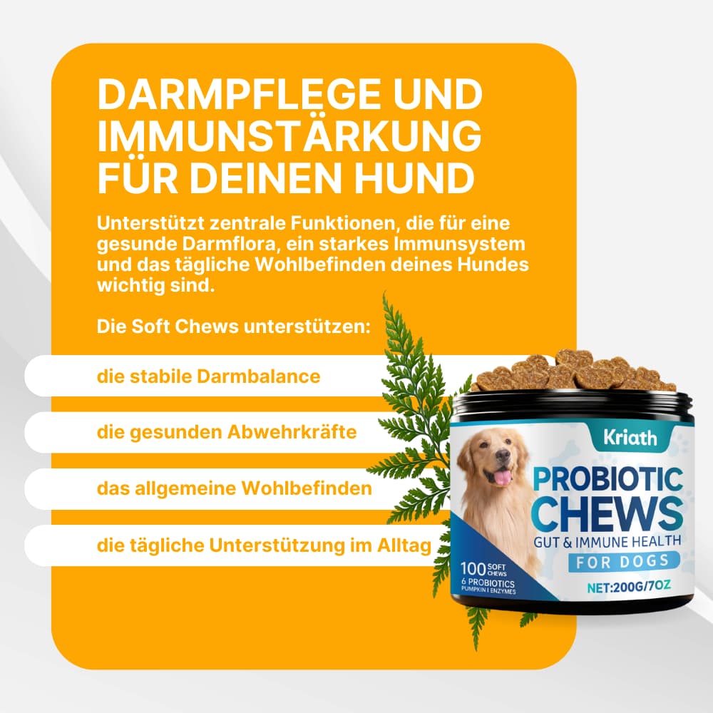 Dog Probiotics for Gut & Immune System