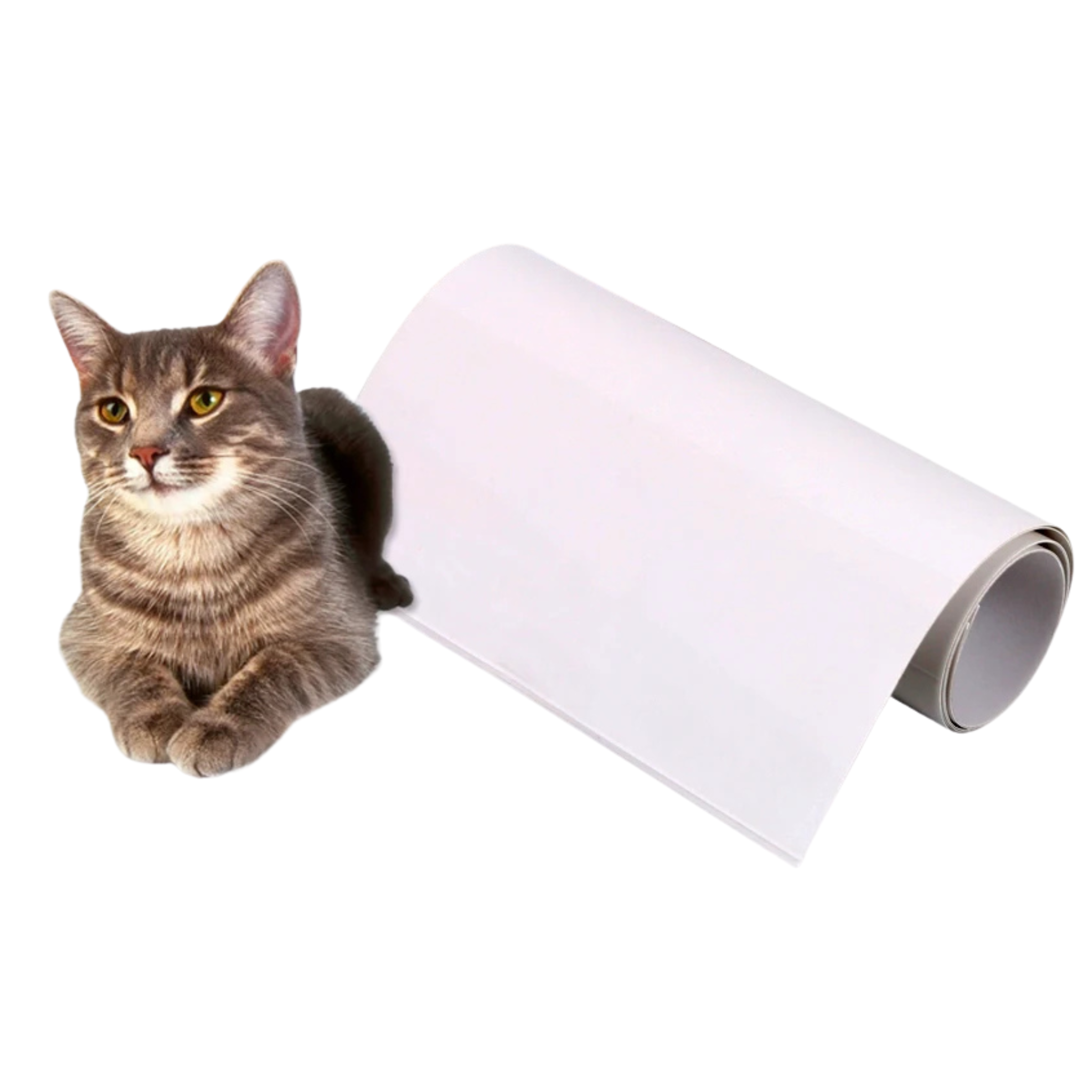 Cat Protection Mat – Set of 6