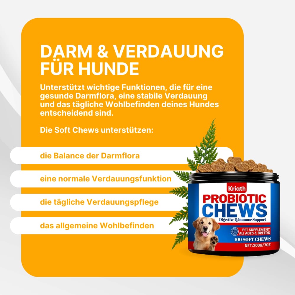 Probiotic Soft Chews for Dogs – Gut & Digestive Health