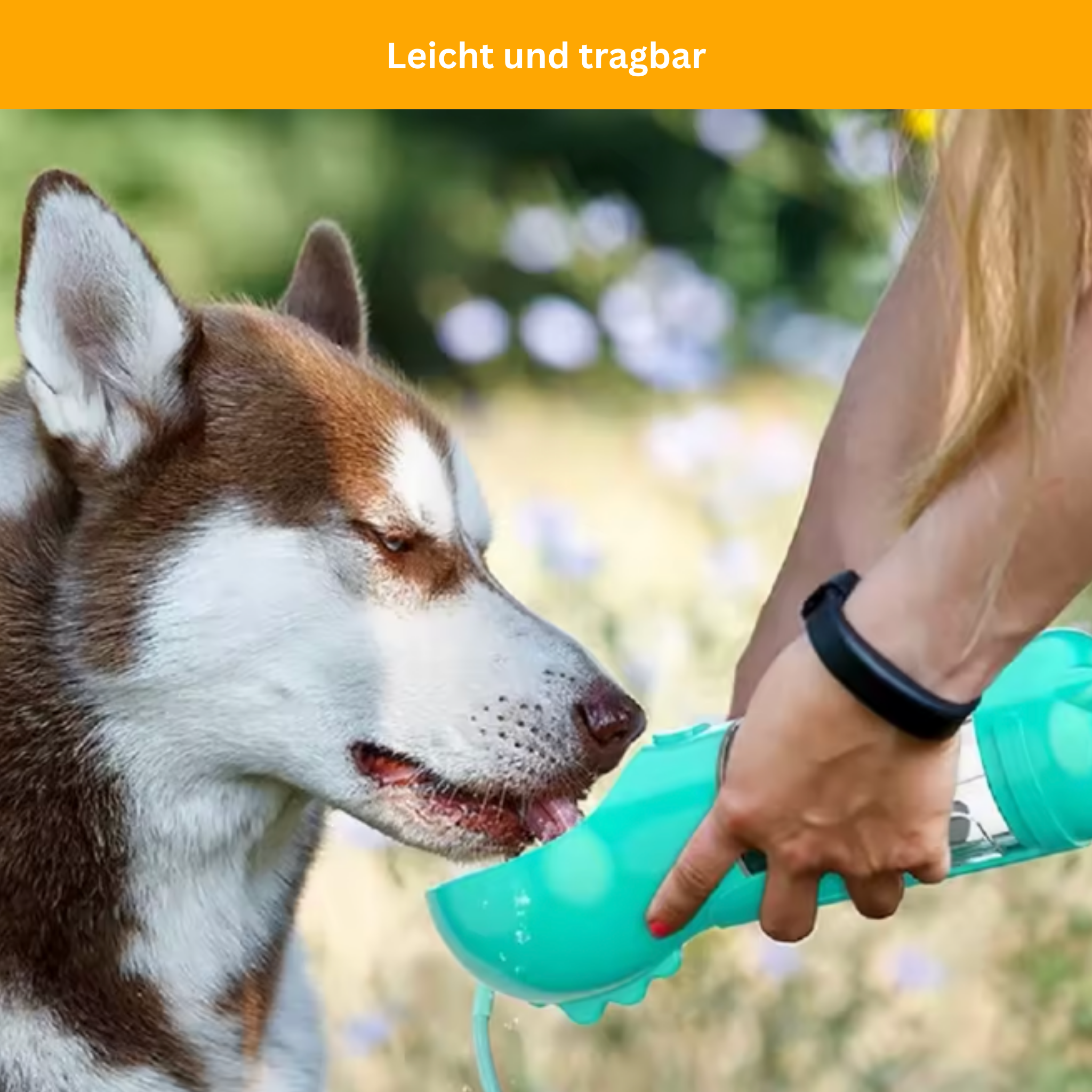 PetGo 5-in-1 Food & Water Bottle