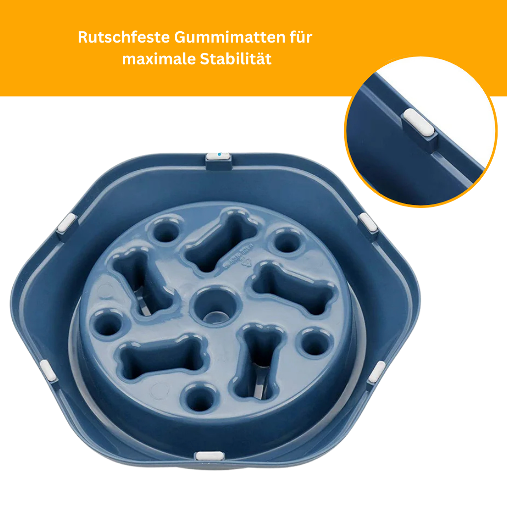 VitalFeeder – Health Bowl