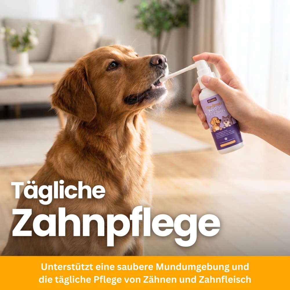 ToothBalance Dental Care Spray