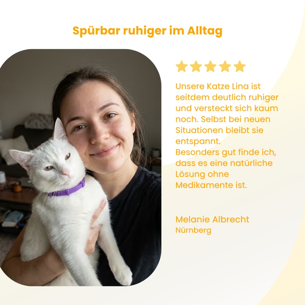 Pet-Friendly Anti-Stress Collar for Cats