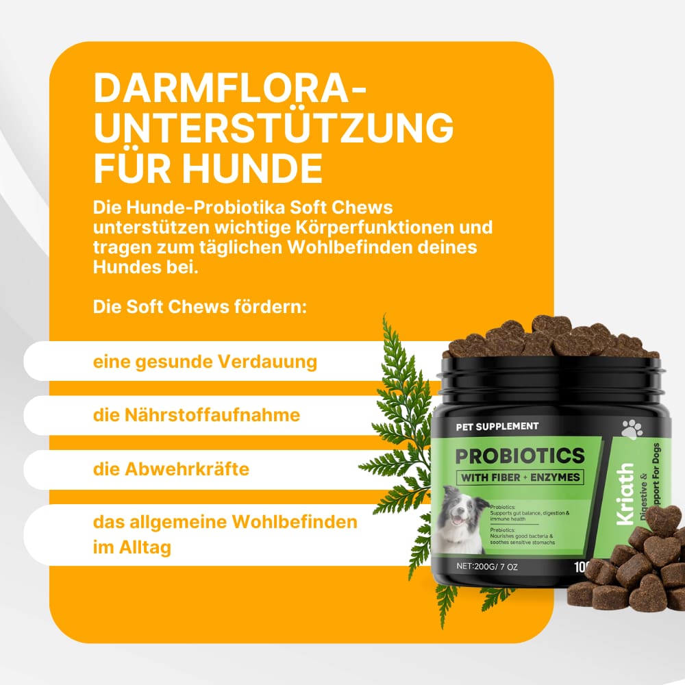 Dog Probiotic Soft Chews for Digestion & Immune Support