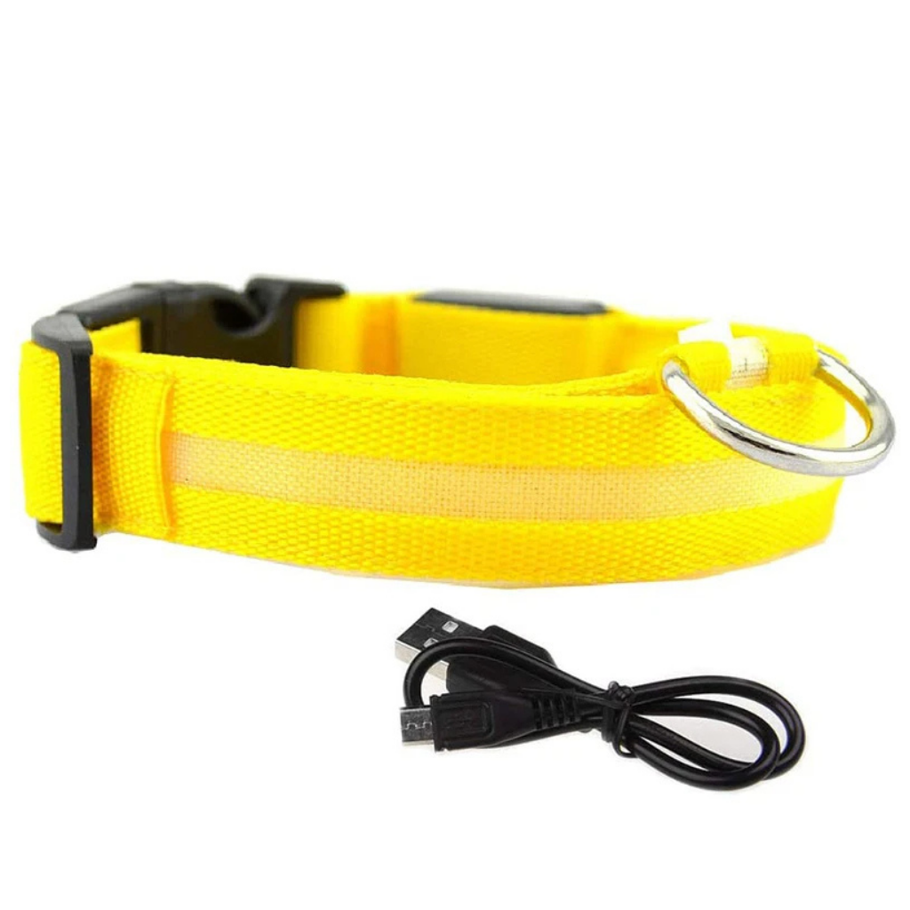 LED Light-Up Dog Collar