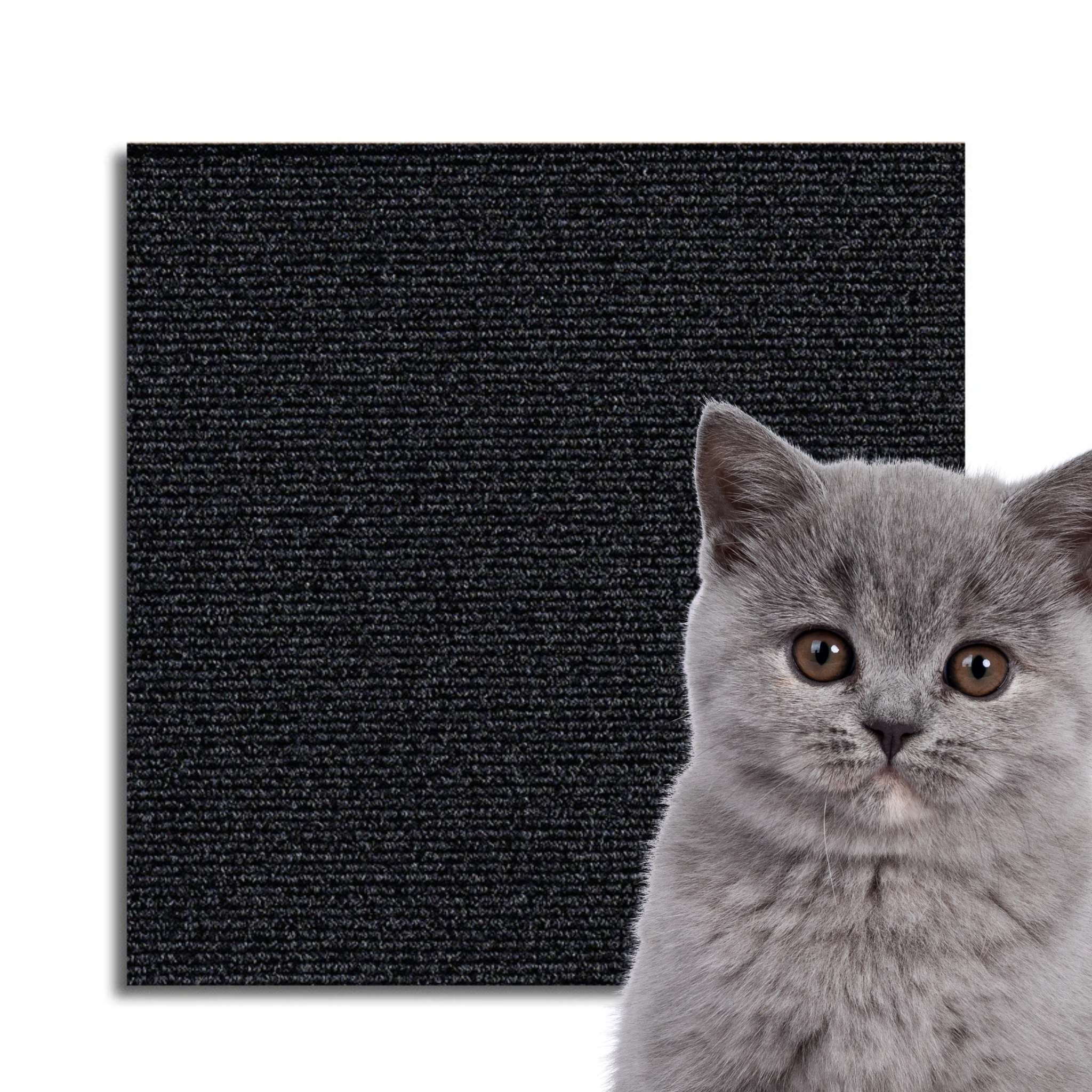 Universal Cat Scratch Guard