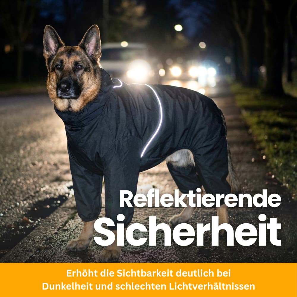 StormGuard – Rain & Wind Protection For Dogs
