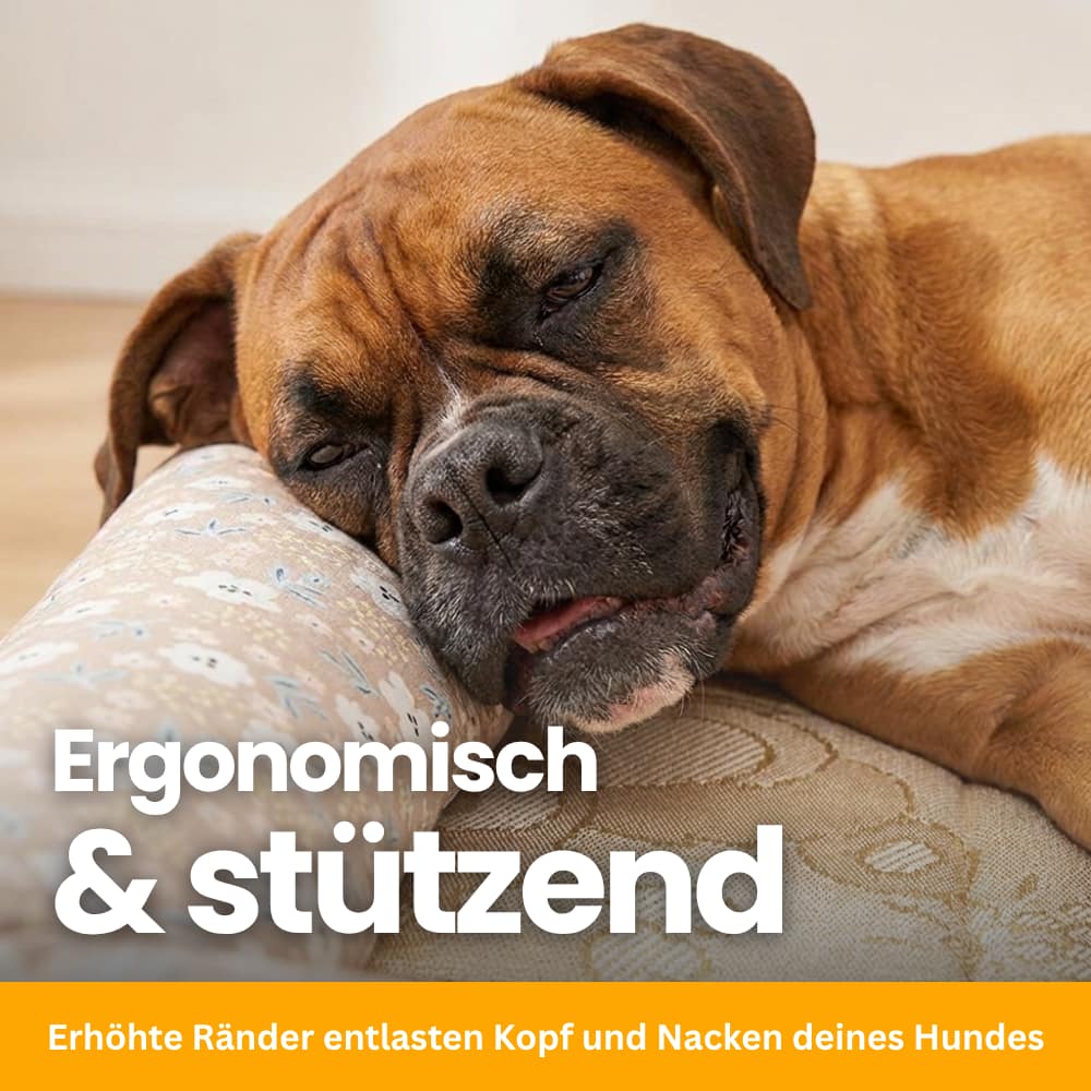 CoolBed – Dog Cooling Bed