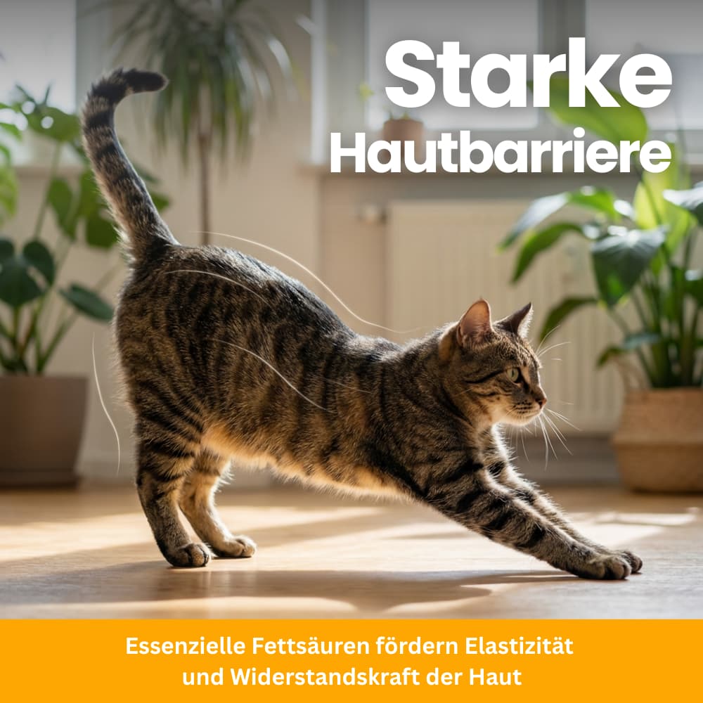 Cat Nutrient Powder for Coat & Skin