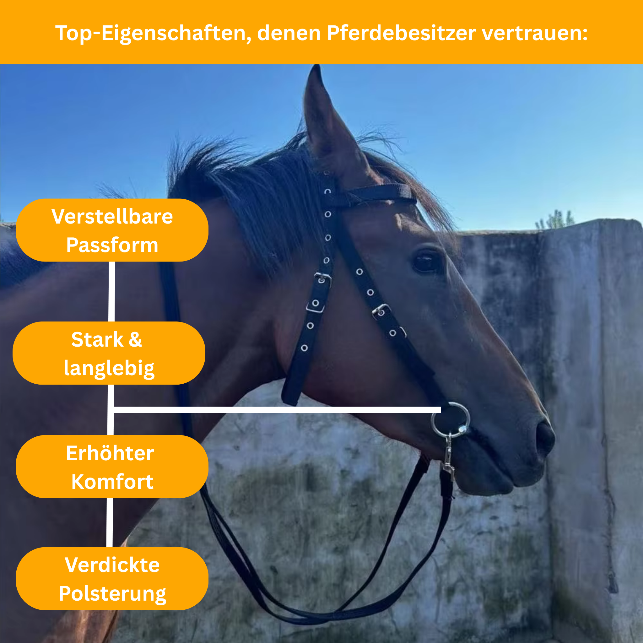 SoftLead – Padded Comfort Halter for Horses