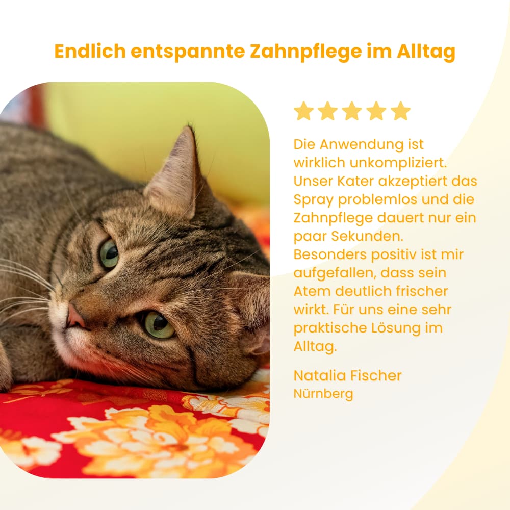 ToothBalance Dental Care Spray