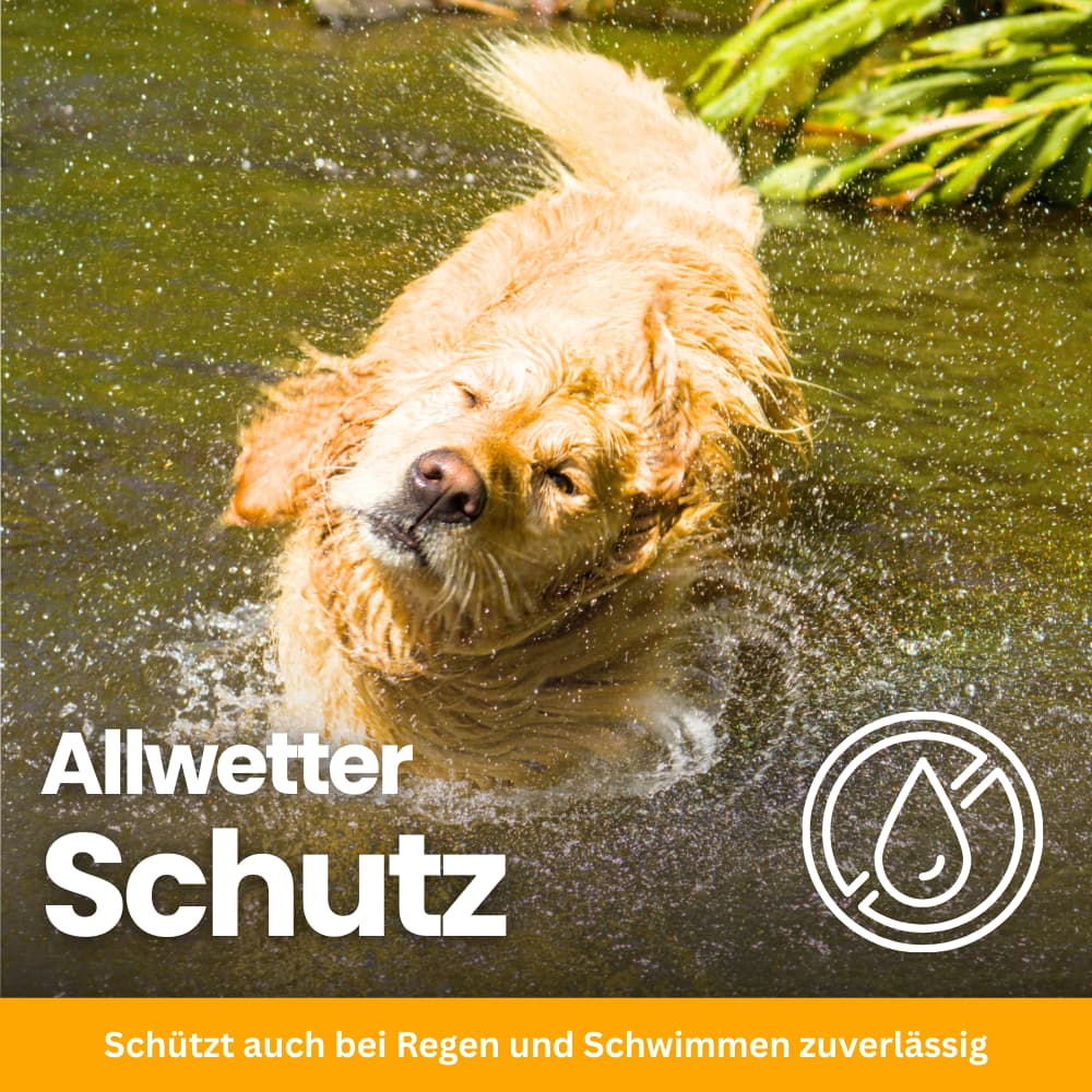 FellFreund Flea & Tick Protection Duo