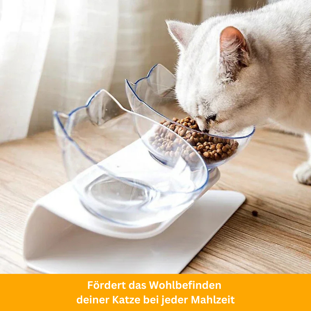 Slow Feeder Dog Bowl