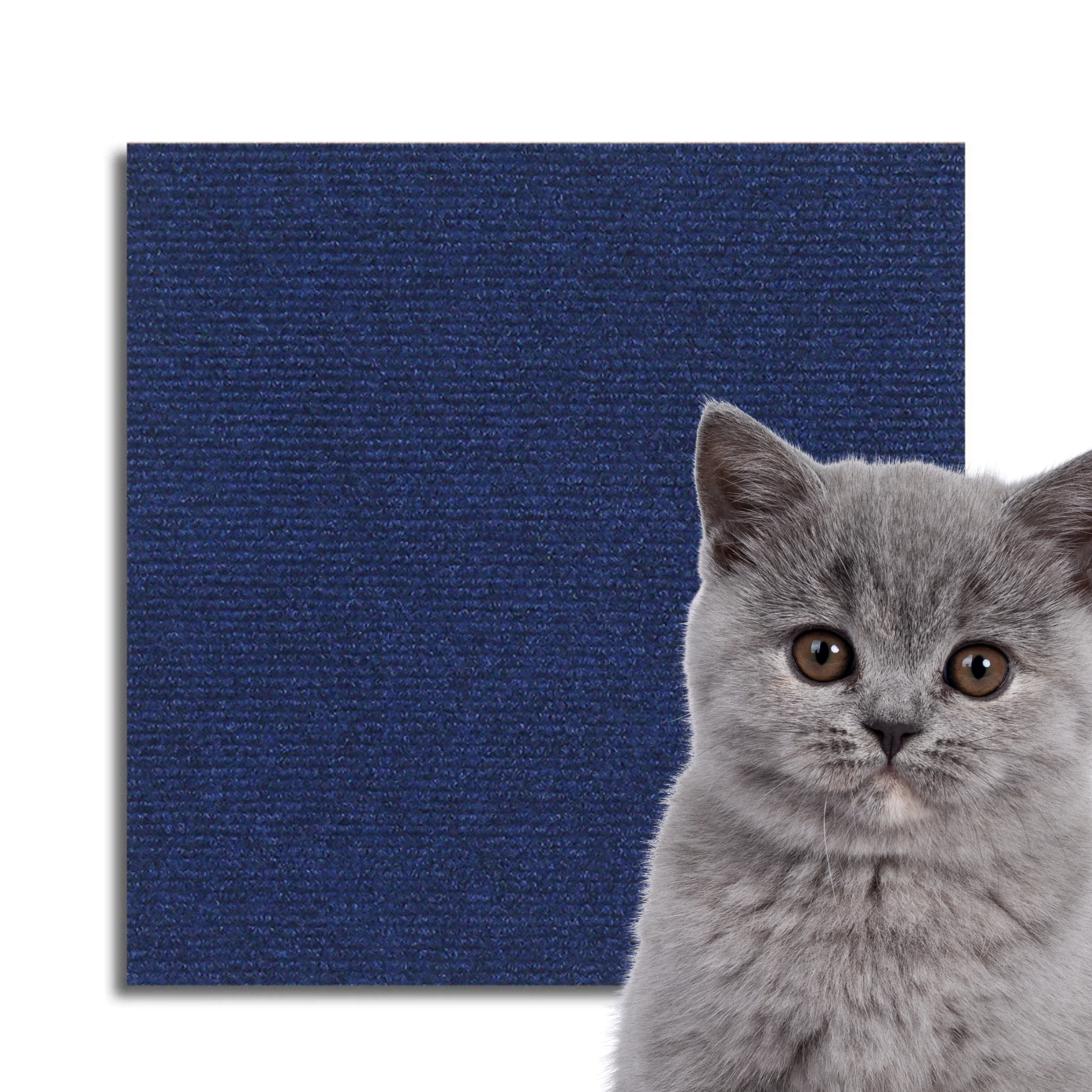 Universal Cat Scratch Guard