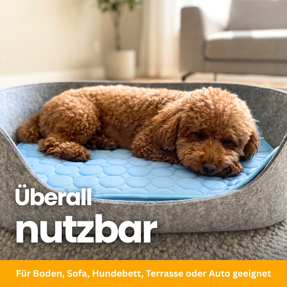 Premium Cooling Mat for Dogs