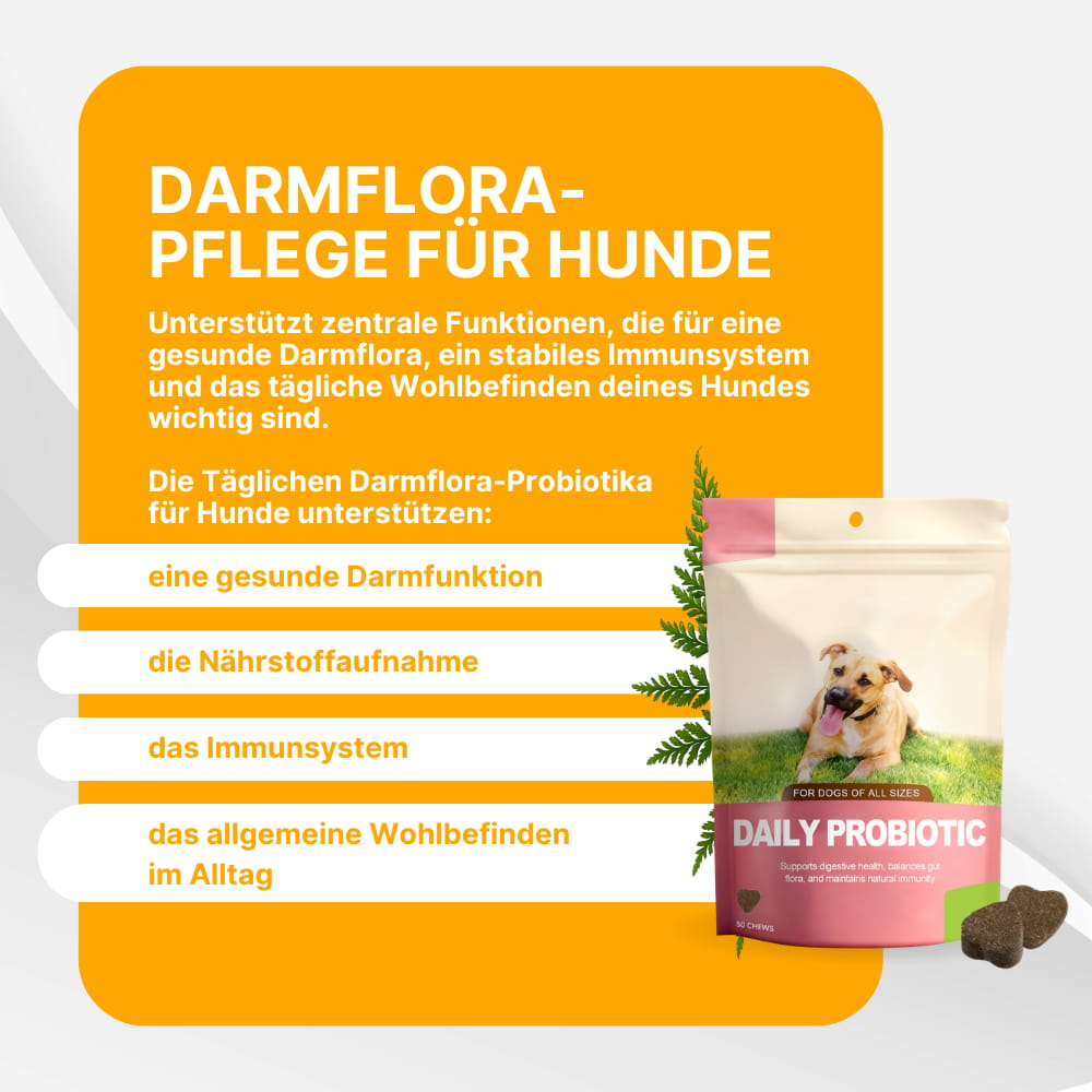 Daily Gut Flora Probiotics For Dogs