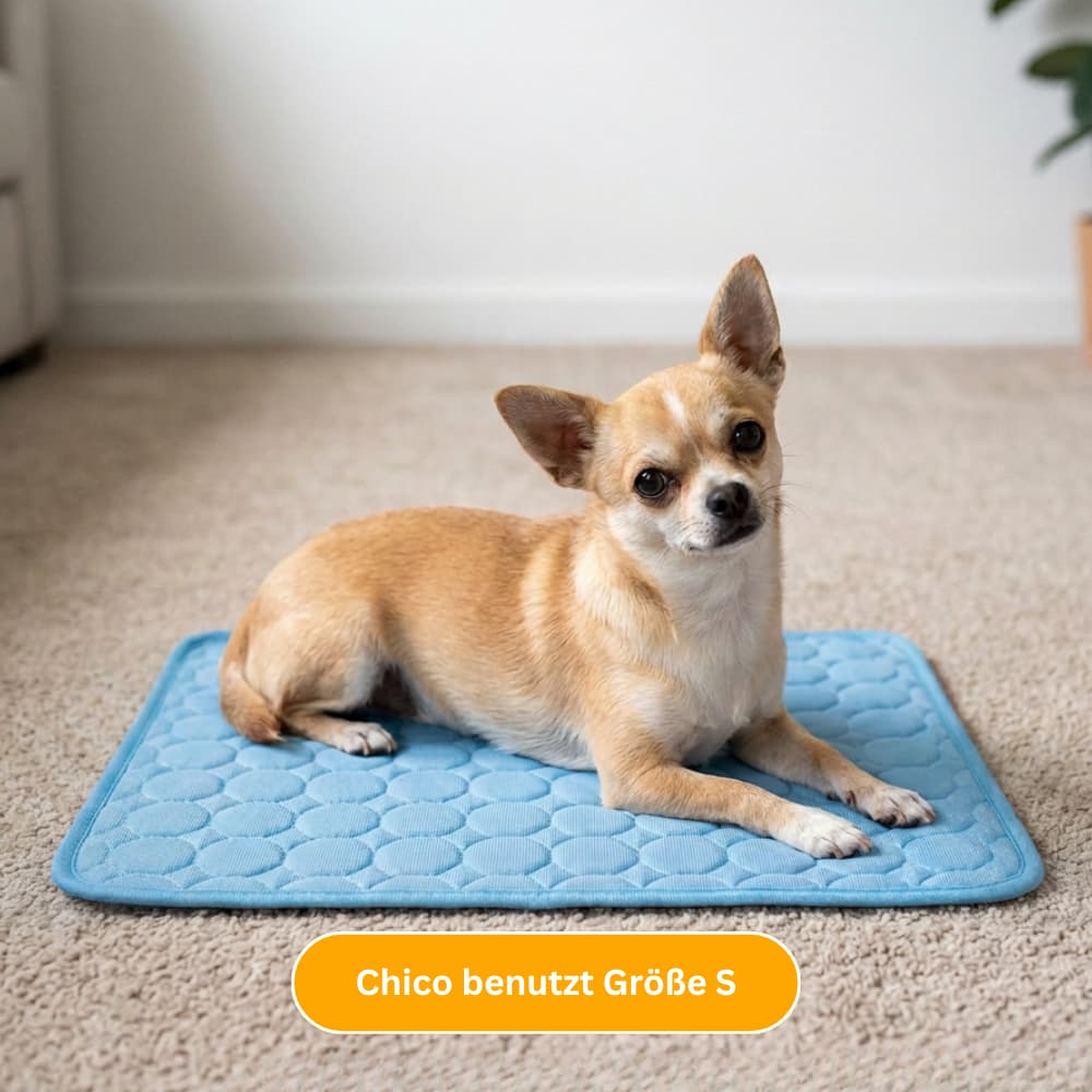 Premium Cooling Mat for Dogs