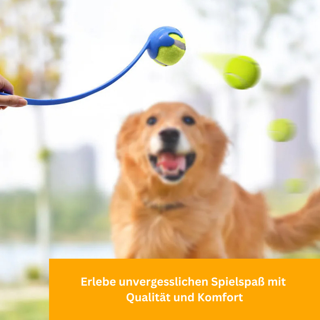 FetchMaster Ball Launcher