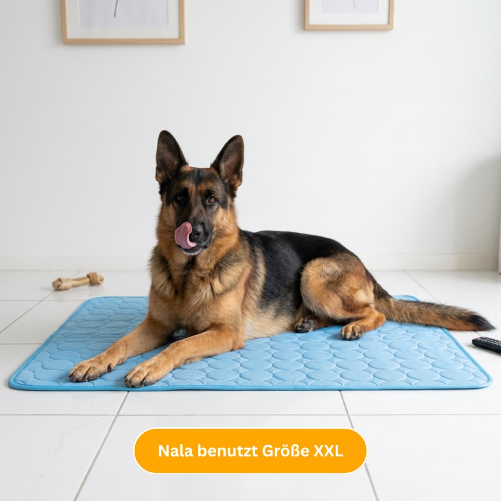 Premium Cooling Mat for Dogs