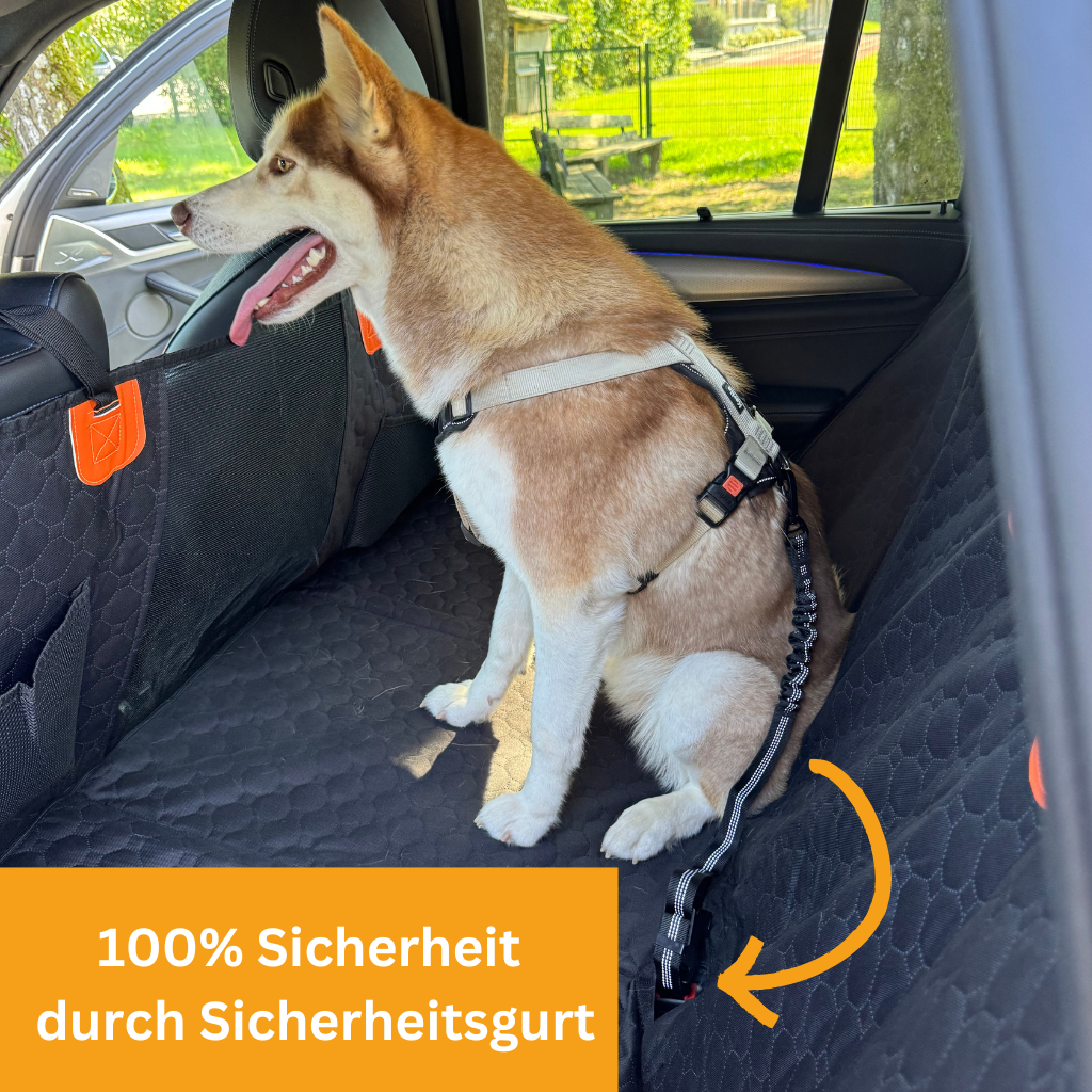 Stable Backseat Protector – Bundle