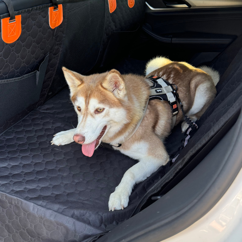 Stable Backseat Protector – Bundle