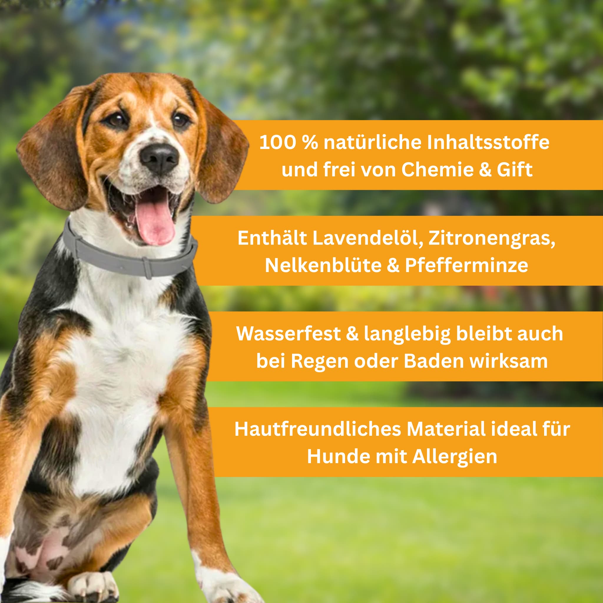 Floh- und Zeckenschutz Halsband für Hunde [Verdopplungs Aktion]