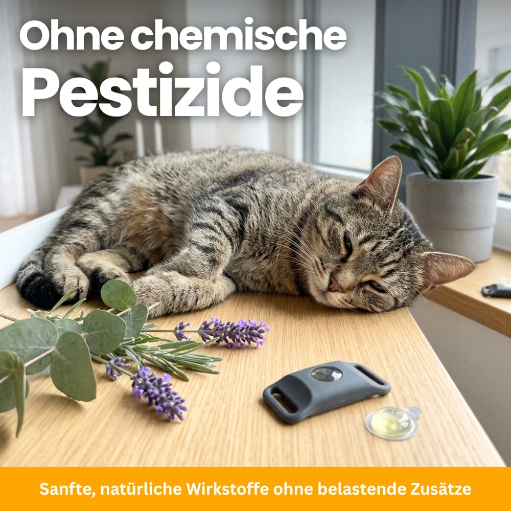 TickGuard Refill – Replacement Inserts