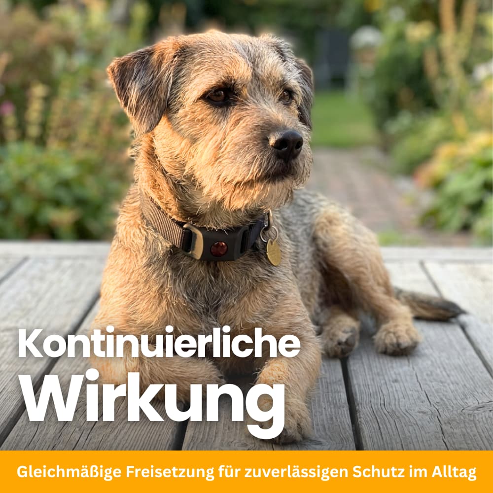 TickGuard Refill – Replacement Inserts