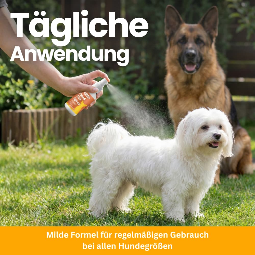 FellGuard Flea & Tick Spray