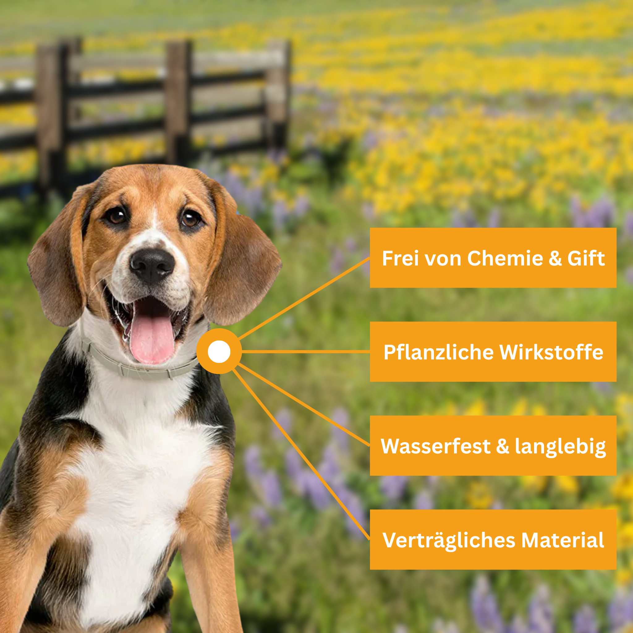 Flea and Tick Protection Collar for Dogs