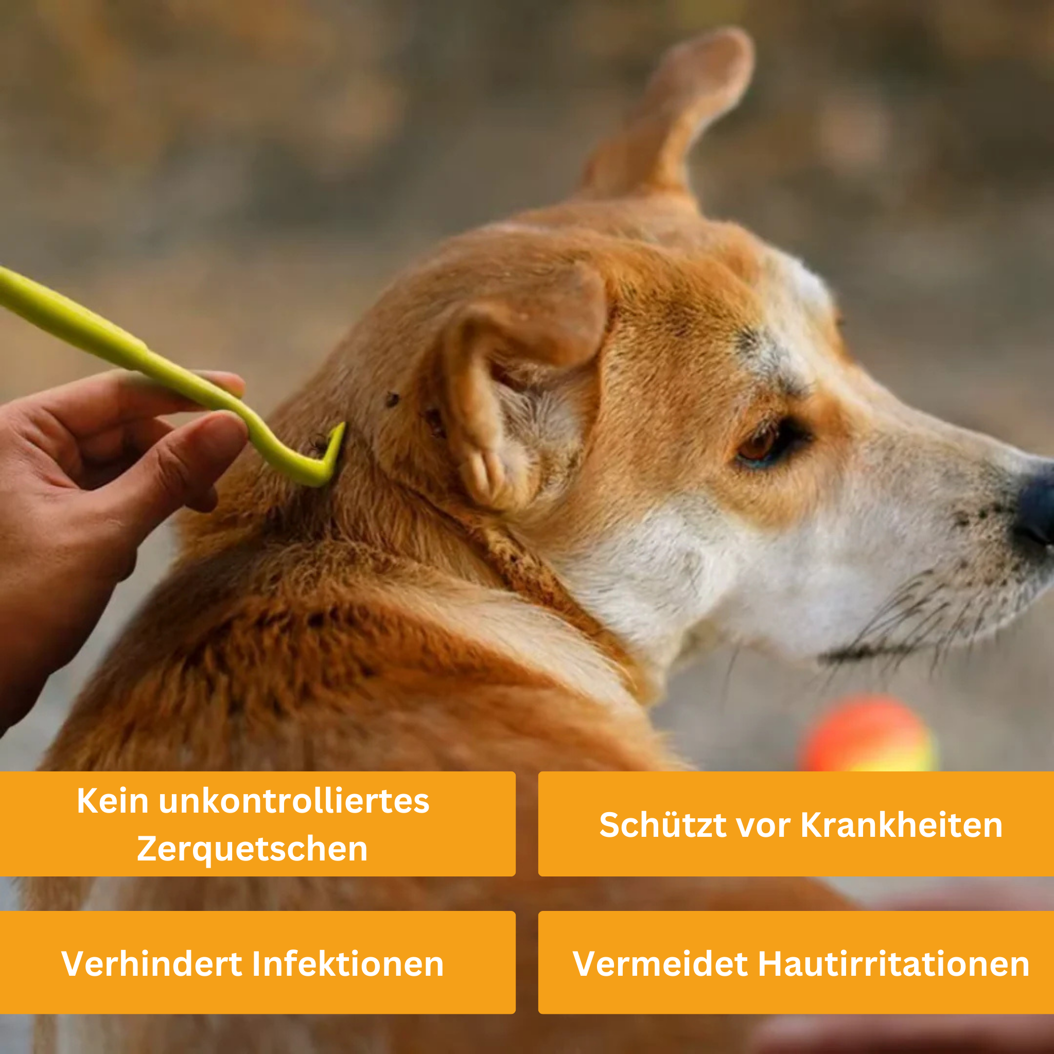 Handy Tick Remover (Set of 3)