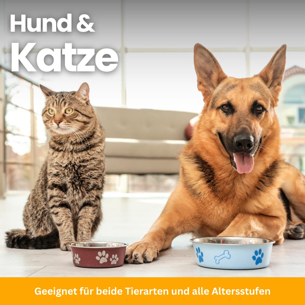 Urinary Tract Care Drops for Dogs & Cats