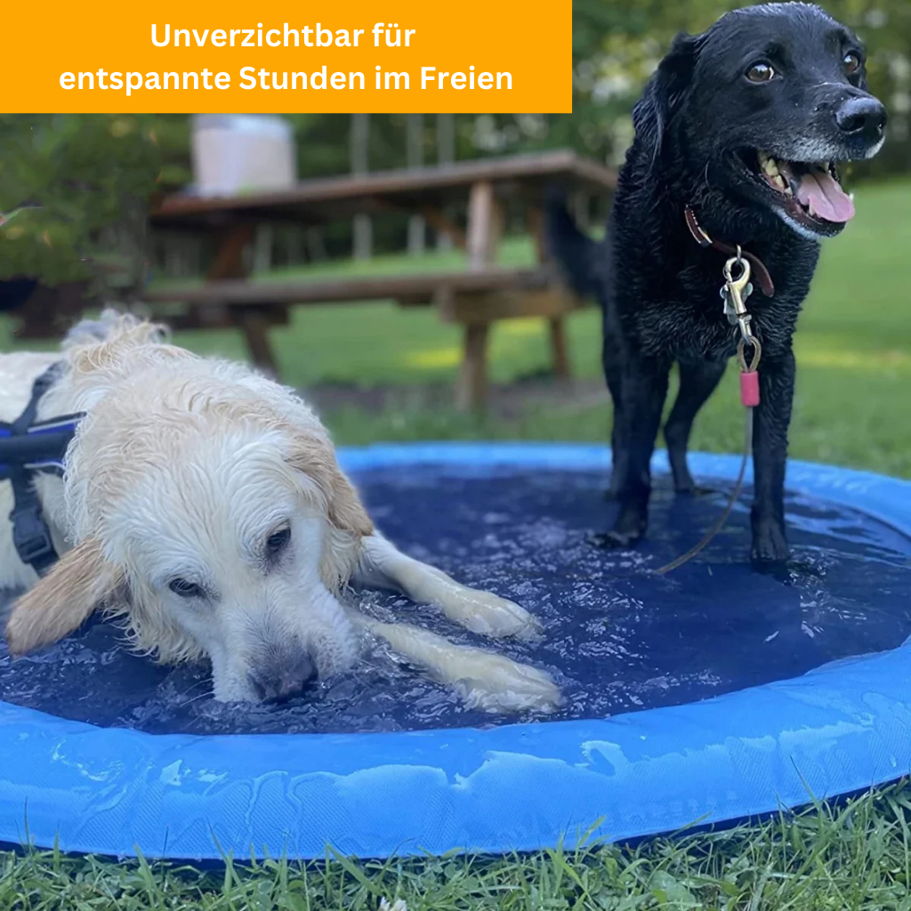 Dog Splash – Refreshing Dog Sprinkler System