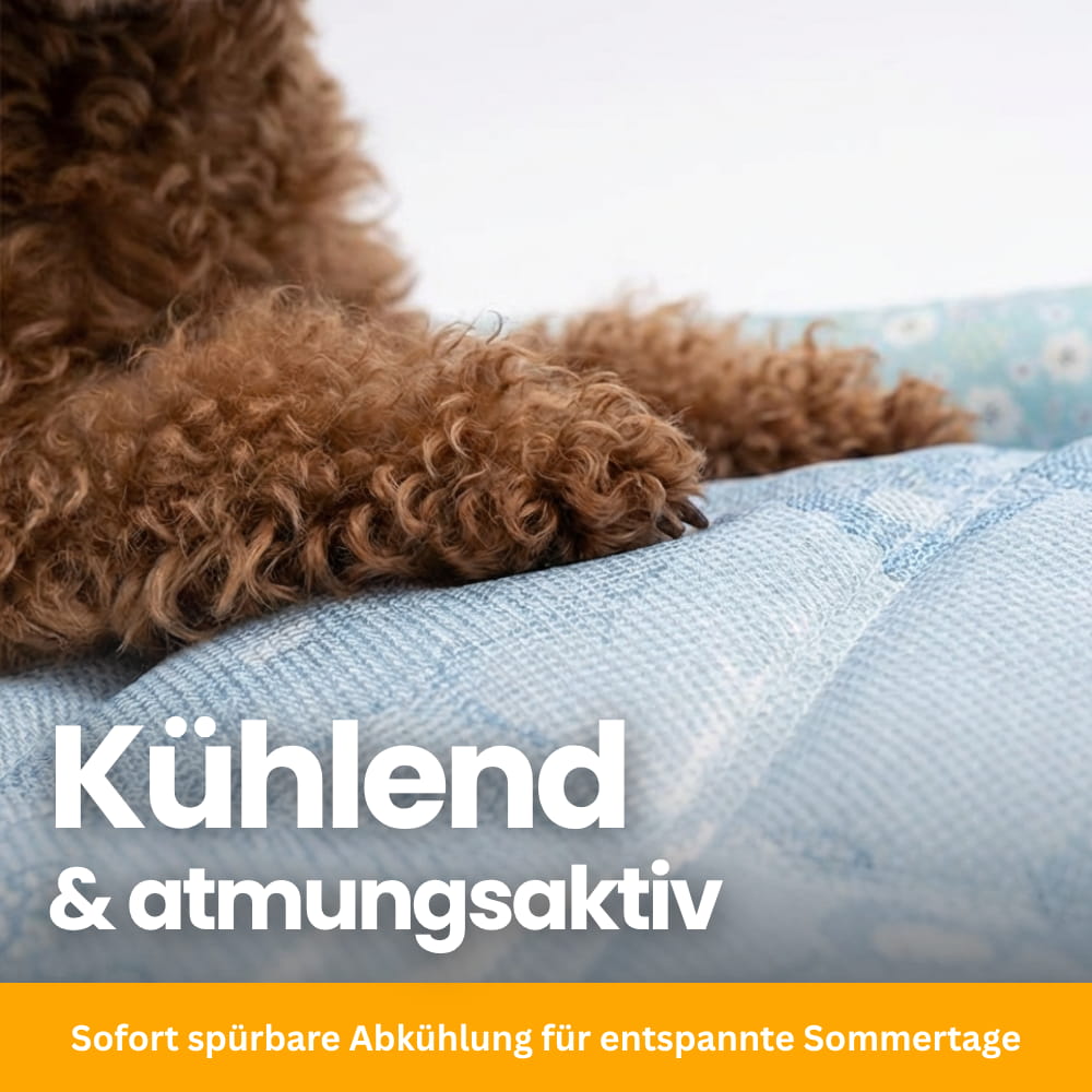 CoolBed – Dog Cooling Bed