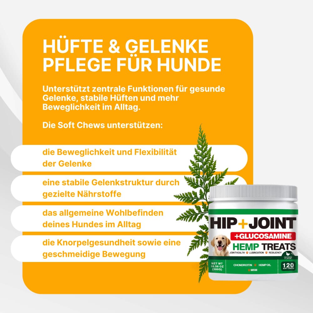 Hip & Joint Soft Chews for Dogs