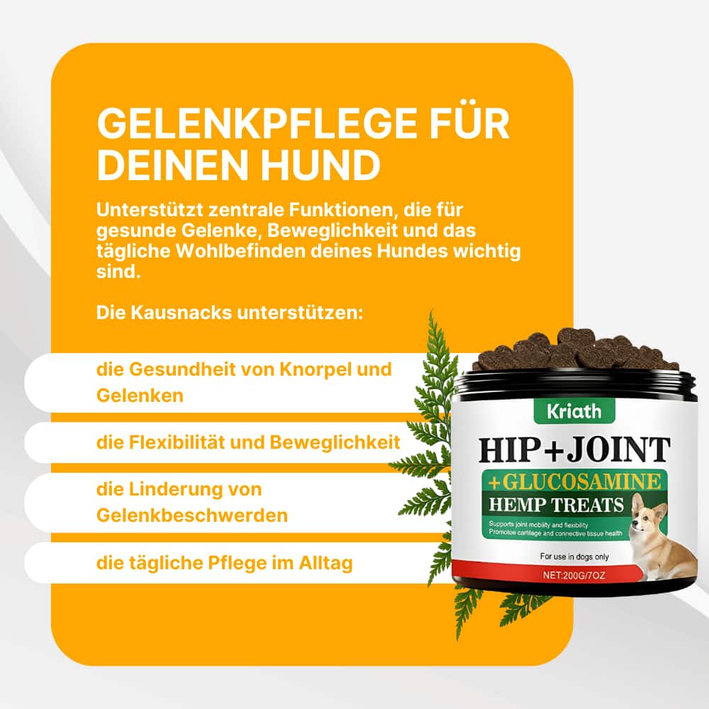 Joint Chews for Dogs with Glucosamine