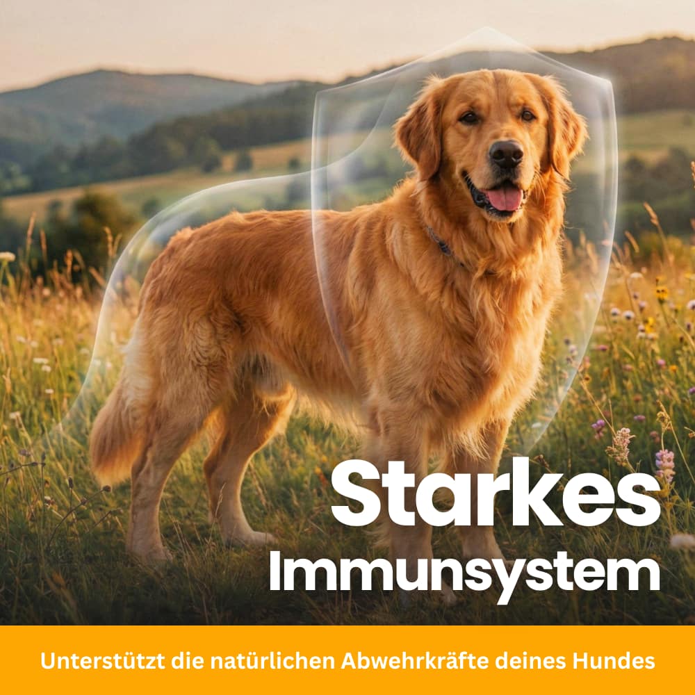 Allergy & Immune Chews for Dogs