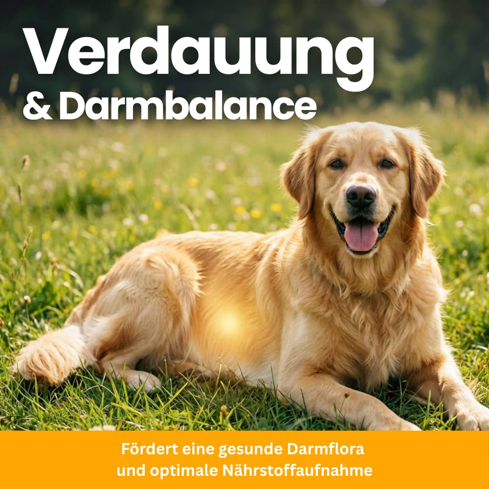 Allergy & Immune Chews for Dogs