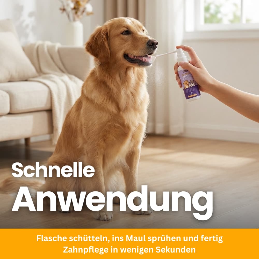 ToothBalance Dental Care Spray