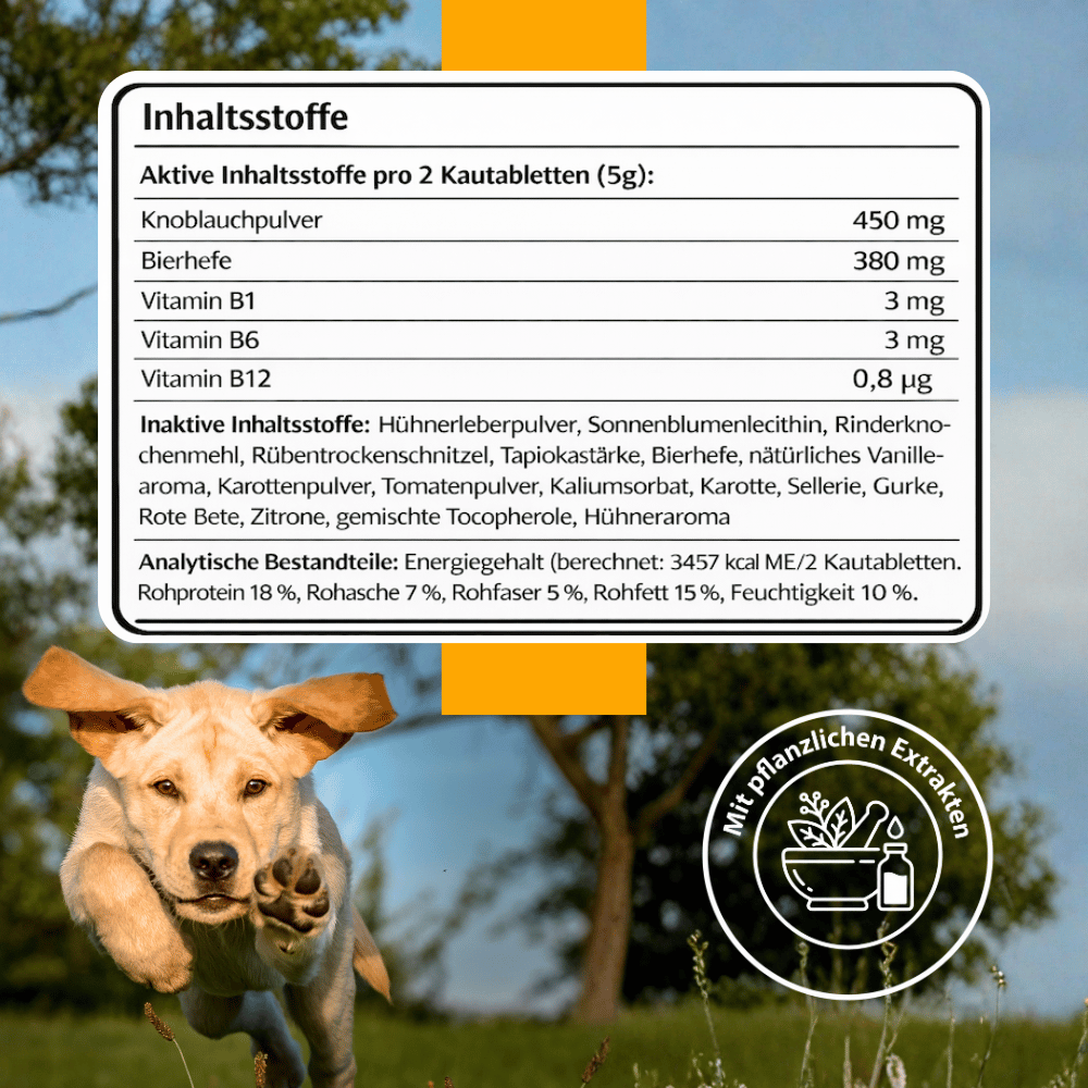 FellFreund Flea & Tick Protection Duo