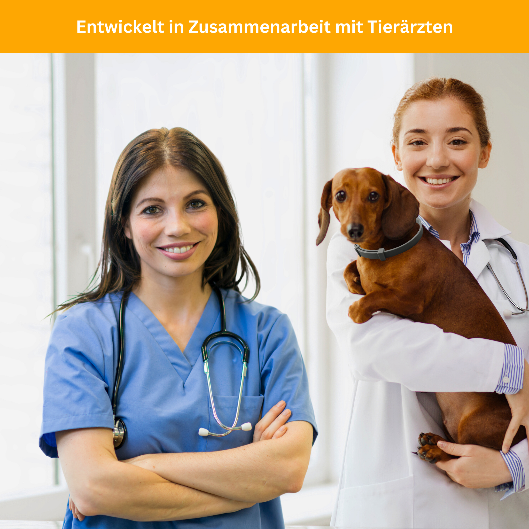 Flea and Tick Protection Collar for Dogs