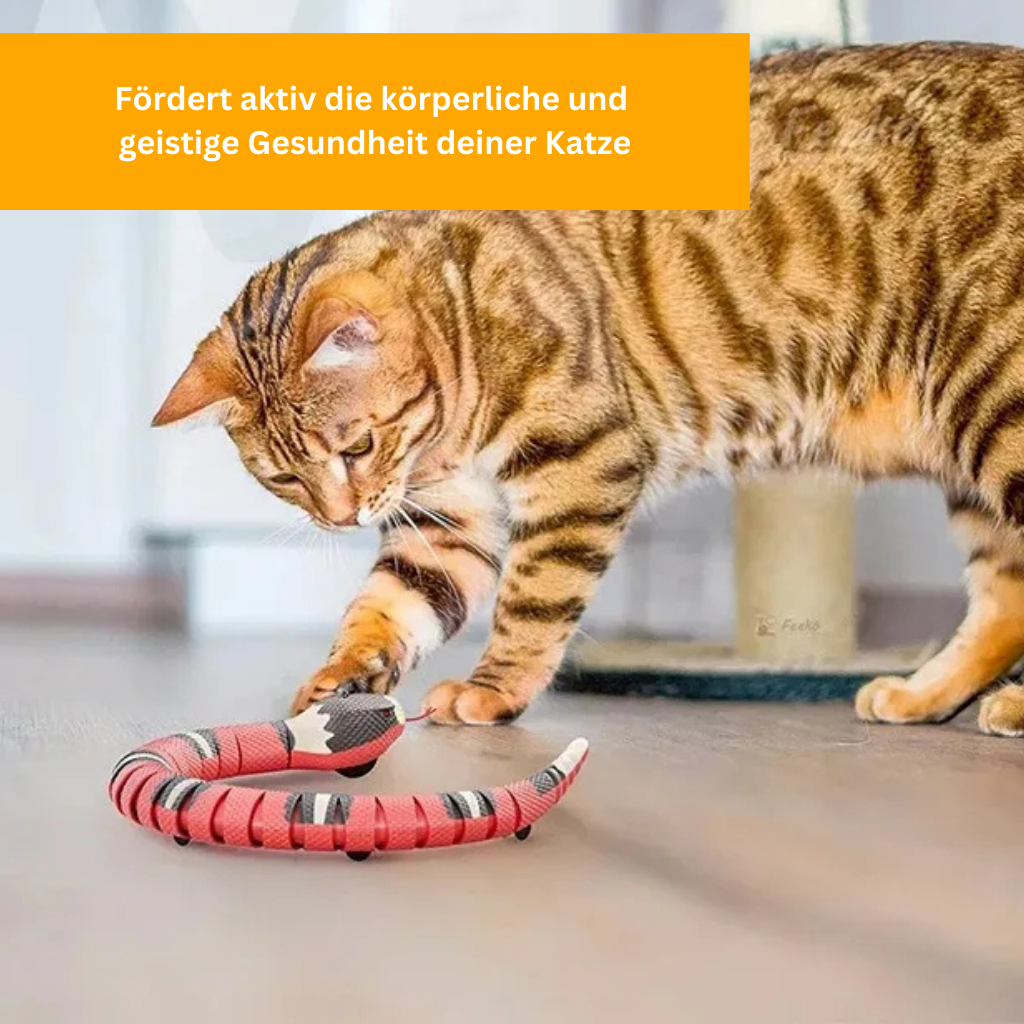 PlaySnake – Interactive Fun for Cats