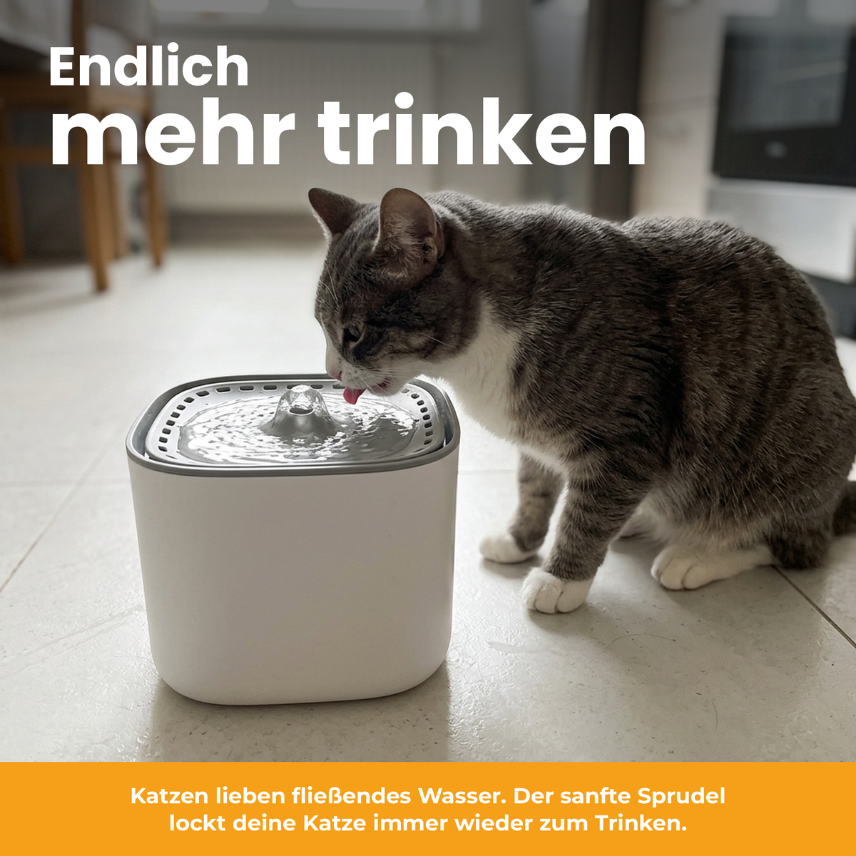 [de] DrinkBuddy Katzenbrunnen – Endlich mehr trinken