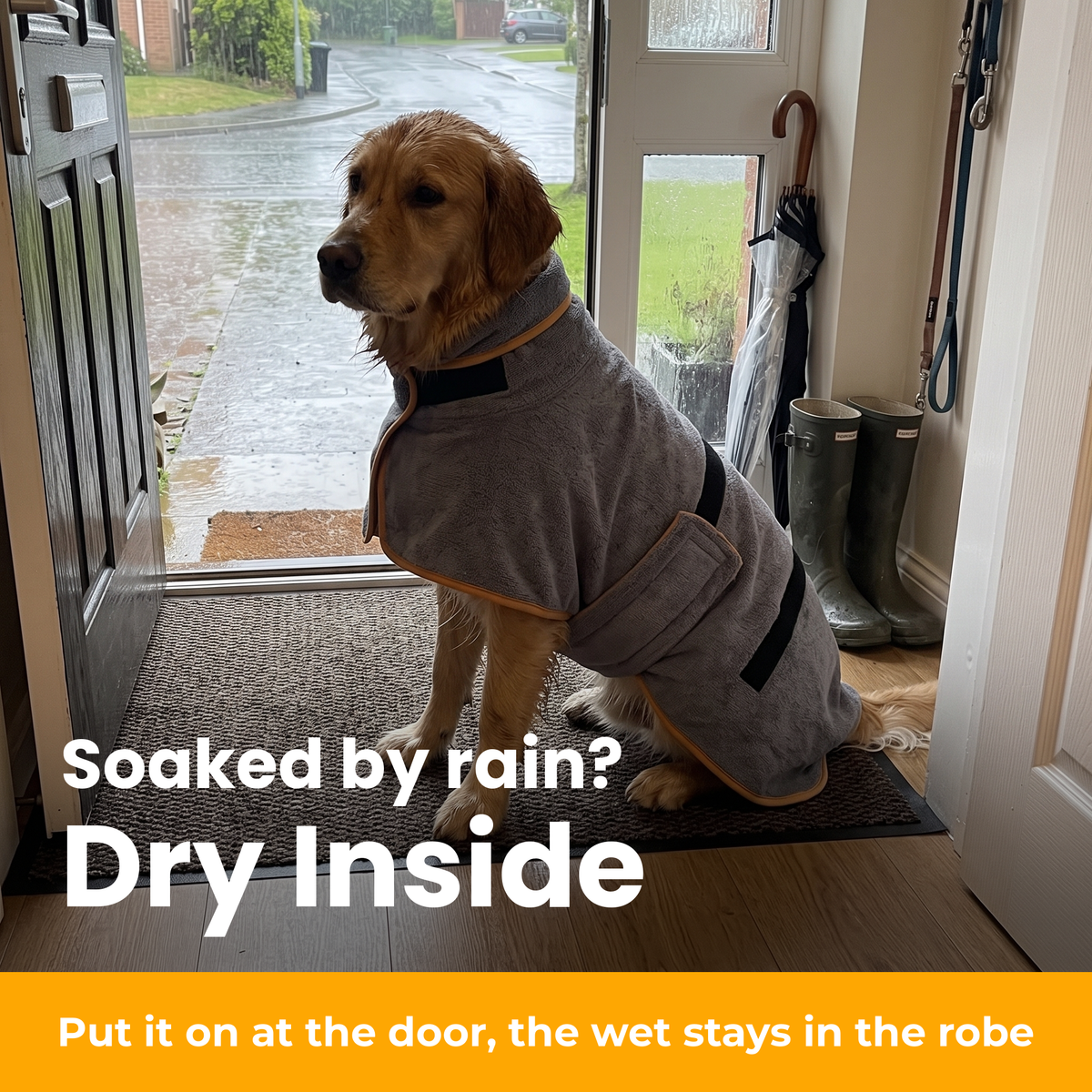 [en] DryKing dog bathrobe – after the rain