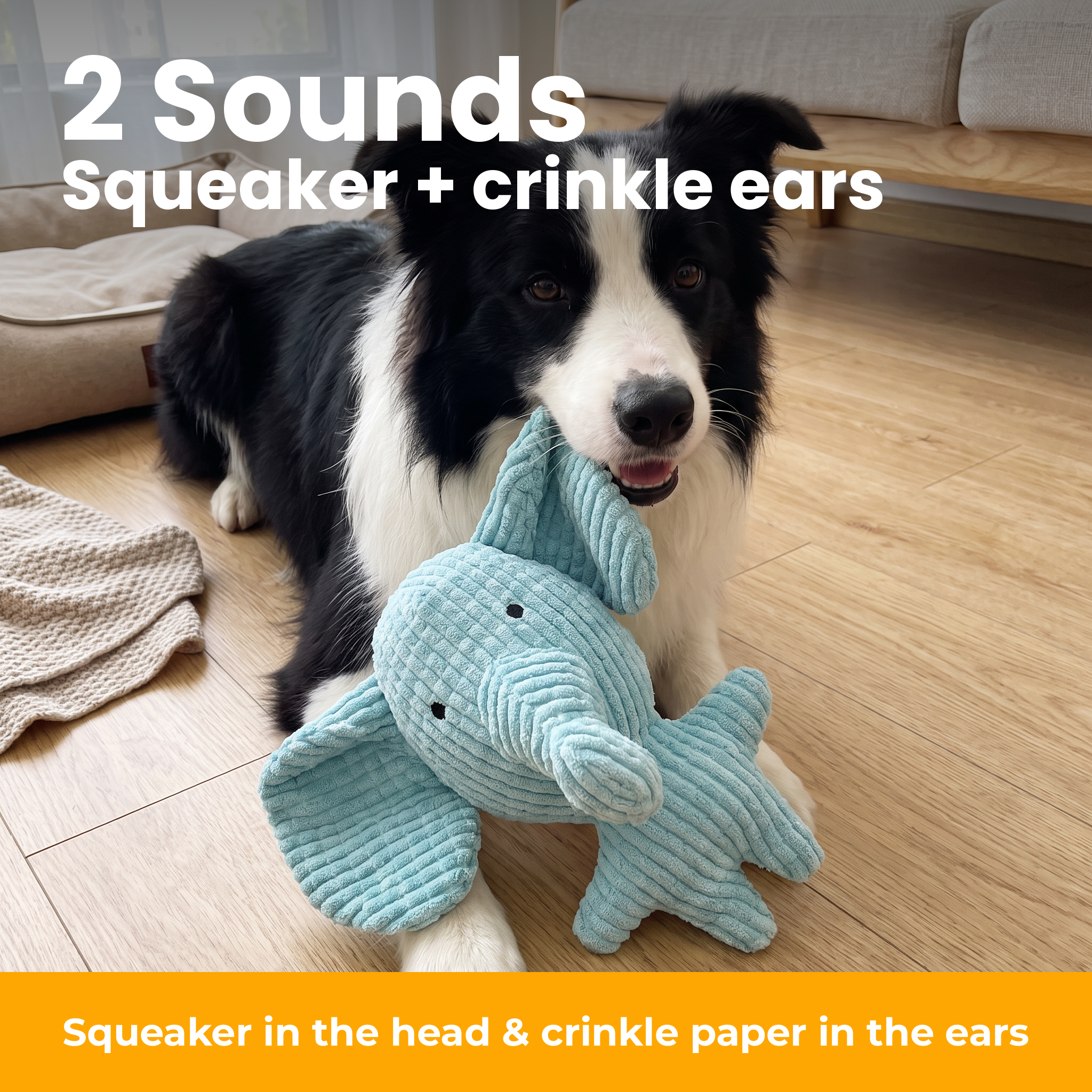 [en] Dog plays with the plush elephant – squeaker and crinkle ears