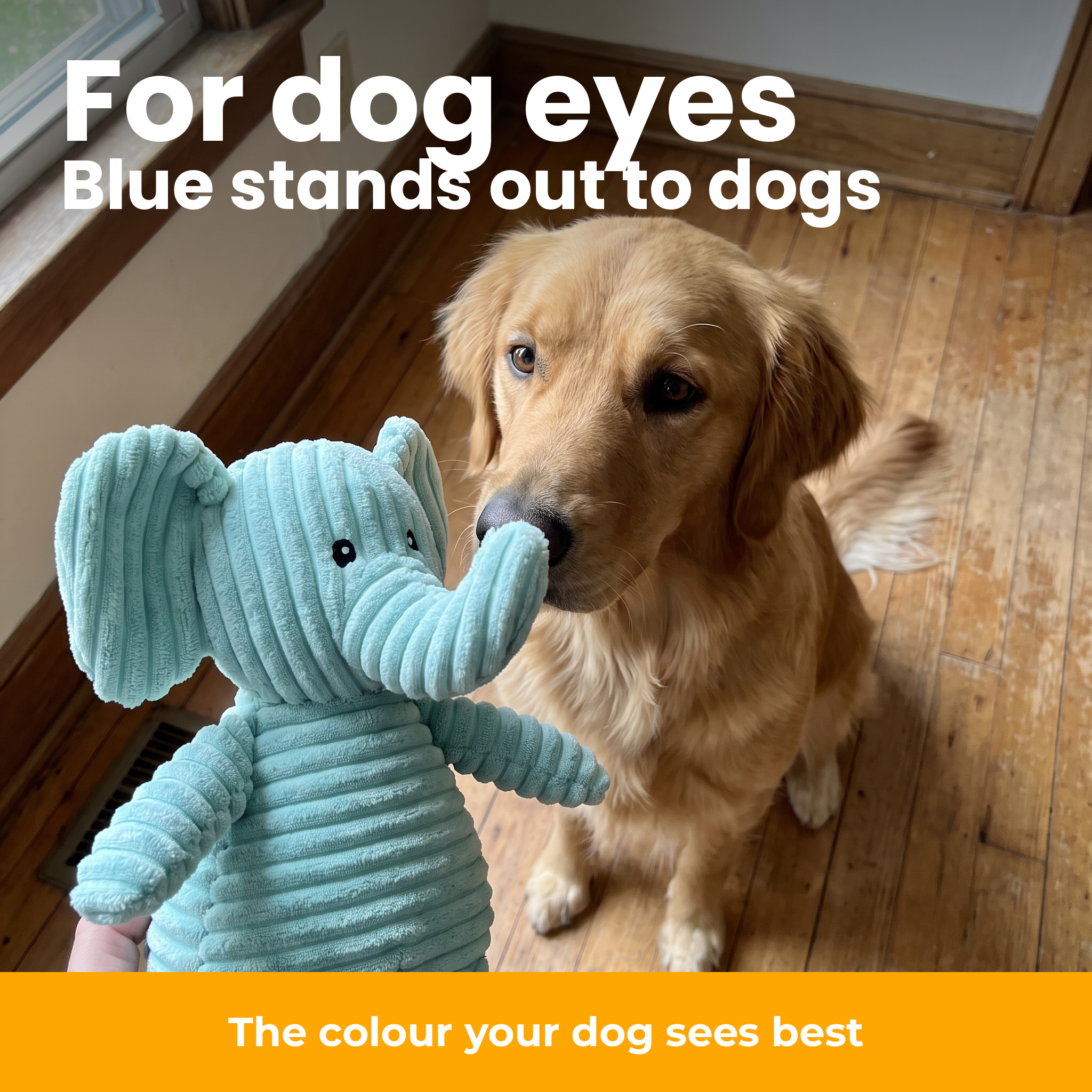 [en] Plush elephant in blue – easy for dogs to see