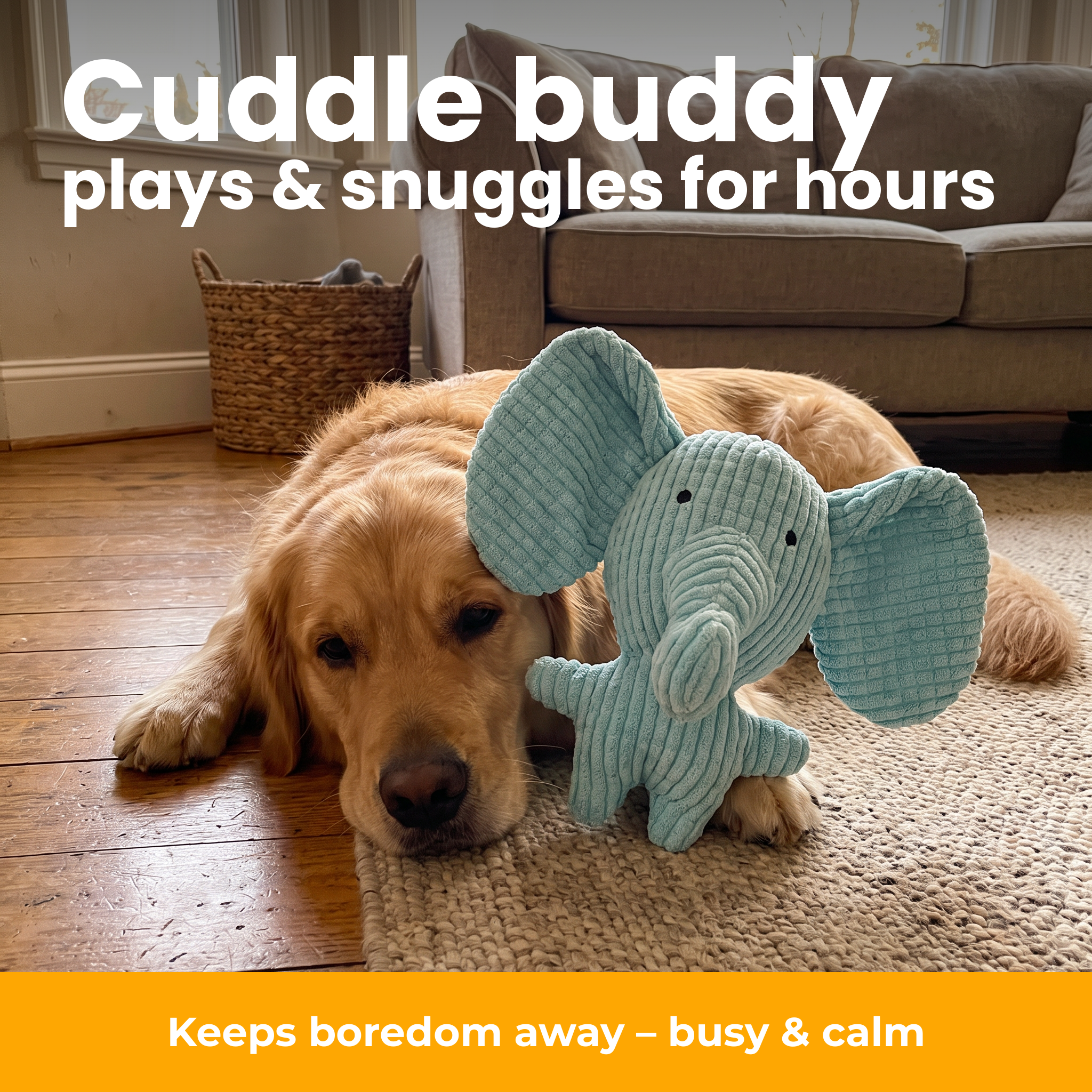 [en] Dog cuddling the plush elephant
