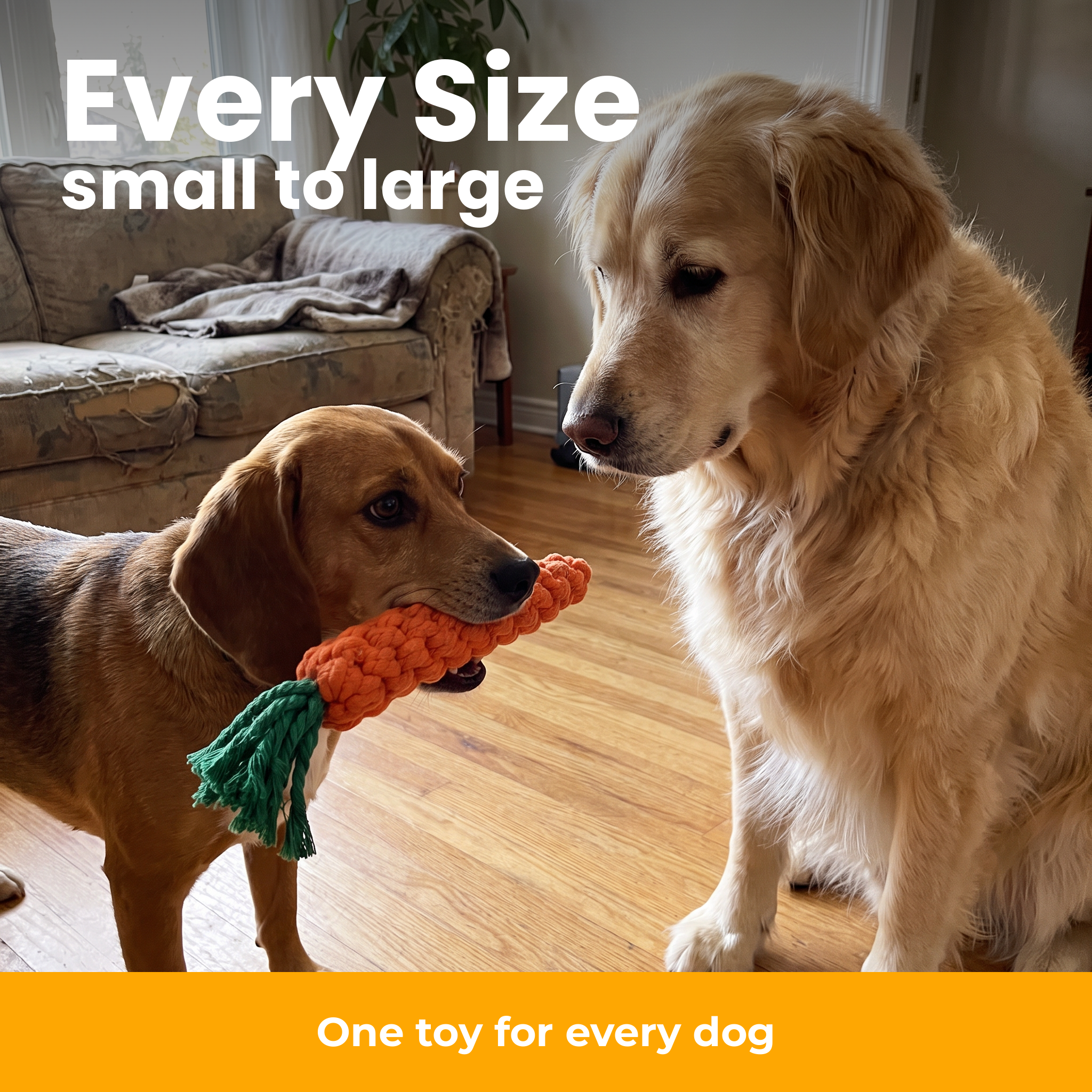 [en] Suitable for every dog size
