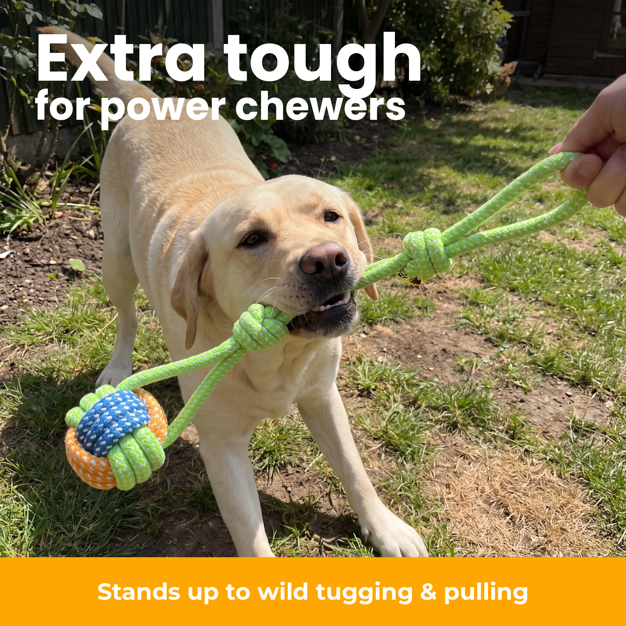 [en] Extra tough for power chewers